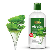 Aloe Gut – Organic Aloe Vera Juice (Unflavored), to Boosts Gut Health, Enhances Metabolism, Supports Digestive Health & Increase Energy Levels